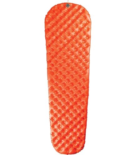 40P DuPont 15cm Terminal Connecteur Câble Ruban Jumper Fil 40P DuPont 15cm Terminal Connecteur Câble Ruban Jumper Fil