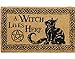 Produktbild Dark Dreams Gothic Mittelalter Wicca Pagan Hexe Fußmatte Türmatte Fußabtreter schwarze Katze