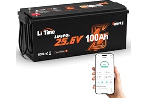 LiTime 24V 100Ah Lithium Batterie LiFePO4 avec Bluetooth et Protection Basse Température, 4000+ Cycles avec BMS 100A, 2560Wh Energie, Remplacement Parfait des Batteries Plomb-Acide
