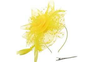 DRESHOW Fascinator Hüte für Damen Pillbox Hut mit Schleier Stirnband und Einer Gegabelten Clip Tea Party Kopfbedeckung