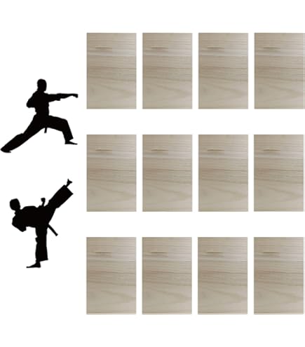 Lenwen Taekwondo Breaking Boards - 2 Rebreakable Boards & 2 Kick Pads Martial Arts Training Set