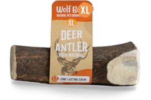 WOLF BELLY NATURAL PET GOODNESS Wolf Belly - Asta de Ciervo para Perro Natural (Talla XL) Mordedor Seguro y Duradero | Reduce Sarro y Placa | Rico en Calcio y Proteínas | Calma Estrés y Ansiedad | Bajo en Grasas - Hecho en España