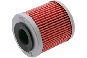 Filtro olio K&N KN563 compatibile per Aprilia SXV 550