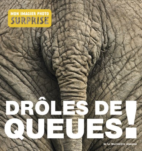 couverture de : Dr&ocirc;les de queues !