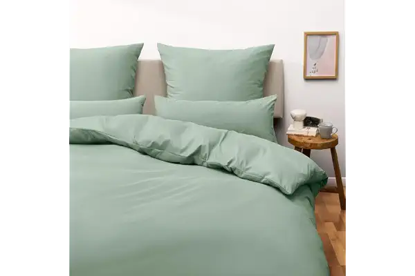 Blumtal Juego de Funda Nordica Cama de 150 - Microfibra Juego de Funda Edredon 220 x 240 y 2 Fundas de Almohada 70x40, Certificado Oeko-Tex, Muy Suave y Transpirable - Verde Claro