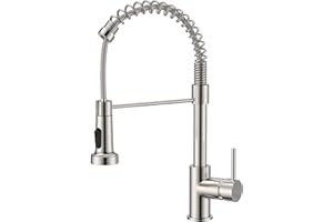 FORIOUS Robinet Cuisine, Mitigeur Cuisine Avec Douchette Pivotant à 360° d'Évier à Arc Élevé Pulvérisateur Escamotable 2 Modes, Acier Inoxydable