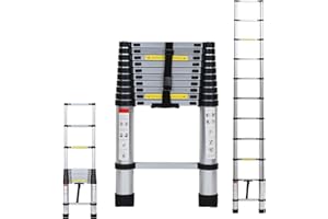 Tubiaz Échelle télescopique en Aluminium de 3,2 m, Interrupteur sécurité à Plusieurs Niveaux, Portable, antidérapante, Polyvalente, Charge maximale : 150 kg, Argent, 3.2M