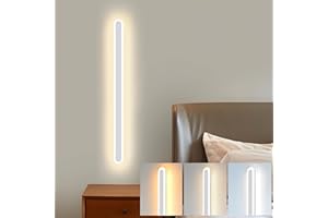 ZTWLEED Applique da Parete Interno,22W LED Lampada da Parete 3000K/4000K/6000K,Applique da parete Moderno Lunga per Soggiorno Camera da Letto Scala Corridoi Bianco 60CM 110-240V