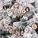 Produktbild 10 Stücke Holzscheiben 5-6cm Holz Scheiben Verzierung DIY handwerk Hochzeit Deko Kunst Handwerk Geschenk Tags (10 Stücke)