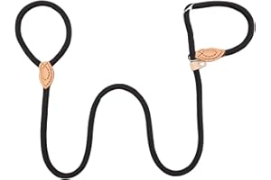 GLANZEND Guinzaglio Retriever, robusto e resistente alle intemperie, per cani di tutte le taglie, guinzaglio per cani e collare veloci da applicare in uno, 150 cm, guinzaglio delicato sul pelo con arresto di