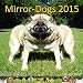 Mirror Dogs 2015 - Hunde im Spiegel by 
