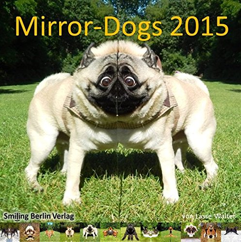 Mirror Dogs 2015 - Hunde im Spiegel