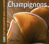 CHAMPIGNONS