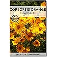 Navika Seeds ; Grow with Us Coreopsis Flower Seed.Perfect for Home & Terrace Gardening Winter & Summer Blooms in India-Includes Free E-Book for Kitchen,Backyard,Gardening & Planting.High Germination