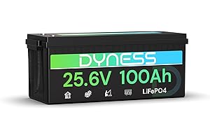 Dyness Batería Litio 24V 100Ah LiFePO4 con BMS 100A y Protección contra Bajas Temperatura, 24V Bateria LiFePO4 para Camper, Solar, Autocaravanas (RV), Barcos de Pesca de Róbalo
