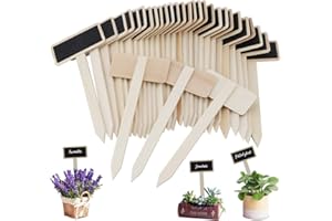 HICOOSEE Étiquettes Potager, HICOO Mini Tableau en Bois Étiquettes pour Plantes pour Pot de Fleur Graine en Pot Herbes Légumes 30Pcs