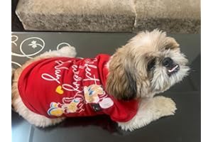 Golden Tails Printed Red T-Shirt for Dogs and Cats (Small 14")
