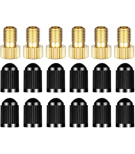 Newkeen 10 Pezzi Valvola in Ottone per Bicicletta, Adattatore per Valvola Presta a Schrader per Bicicletta Ciclismo Newkeen 10 Pezzi Valvola in Ottone per Bicicletta, Adattatore per Valvola Presta a Schrader per Bicicletta Ciclismo