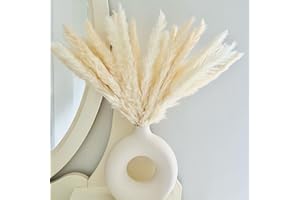RYDDELIGHOME White Pampas Grass Fluffy Small Pampas Grass, Dried Pampass Grass Artificial Flowers Plant Decorative Flora For Vase, White Boho Décor Home Bedroom Decorations, Shelf Decor, 30 Stems 45cm/17.7"