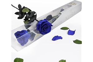GDECORA Rosa Eterna Preservada de Color Azul con Tallo 55cm Mujer,Mamá,Novia,Abuela- Flores Infinita para Cumpleaños,San Valentín,Día de la Madre, Rosas Preservadas Azules