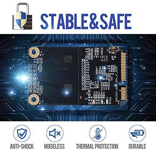 Dogfish Msata 480GB Unidad de Estado S  lido Interna Mini Sata SSD Disk  480GB 
