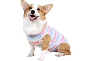 JODSEN Hunde-Genesungsanzug für Hunde und Katzen,weibliche männliche Anti Lecken Hund Onesies,Nach Operationen für Bauchwunden Cone E-Collar Alternative Pet Vest,Lecken verhindern (Rosa-M)