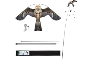 Laptony Spaventapasseri aquiloni per piante agricole e giardino protettore uccelli falco solo draghi