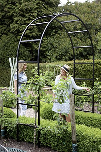 Englischer Rosenbogen gross - Englischer Rosenbogen gross