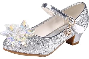 Eleasica Fille Cristal Fleur Chaussures de Princesse Reine des Neiges Elsa Anna Talons Plats Paillettes Déguisement Argenté Bleu Rose Doux Halloween Noël Anniversaire Carnaval Cosplay