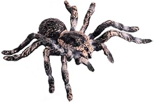 FLORMOON Realistic Animal Figures - Spider Action Model Lifelike Insect Toy Figures - Educational Learning Toys Birthday Gift Set for Boys Girls Kids Toddlers