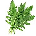 AllThatGrows Eruca Sativa, Arugula Exotic Herb Seeds Pack of 300 Seeds