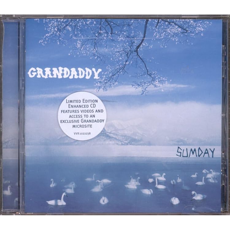 The Sophtware Slump (Special Bonus Edition) by Grandaddy: Amazon