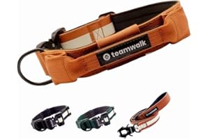 teamwalk® Premium Hundehalsband - mit Magnetgriff, Leuchtstreifen, Air-Tag Tasche, individuell einstellbar, weiche Polsterung, robuste Schnalle, mit passender Leine erhältlich(Rostrot, L)