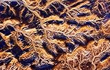 Image de Eyes over Africa (Photographer)