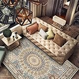 JLDN Tapis Shaggy, Tapis Salon Lavable en Machine Tapis de décoration Antidérapant Tapis pour Salon Canapé Chambre Décor,1.5x2m/4x6ft