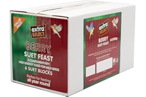 Extra Select Wild Bird High Energy Berry Suet Blocks 6x300gm
