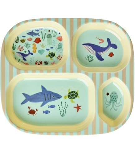 Rice Kinderbord met 4 Compartimenten - Soft Green - Dino Print - Met