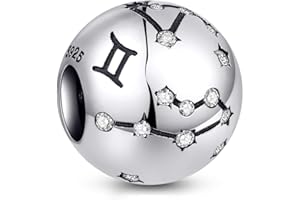 NINGAN Perline costellazioni in argento sterling 925 Fascino di zircone 5A Adatto per il regalo di compleanno della collana del braccialetto delle donne