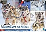 Schlittenfahrt mit Huskys (Wandkalender 2019 DIN A3 quer): Hunde-Schlittenfahrt: Rasantes Schneetreiben (Monatskalender, 14 Seiten ) (CALVENDO Orte) by