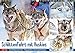 Schlittenfahrt mit Huskys (Wandkalender 2019 DIN A3 quer): Hunde-Schlittenfahrt: Rasantes Schneetreiben (Monatskalender, 14 Seiten ) (CALVENDO Orte) by