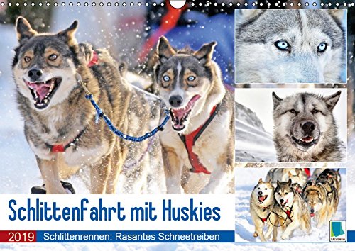 Schlittenfahrt mit Huskys (Wandkalender 2019 DIN A3 quer): Hunde-Schlittenfahrt: Rasantes Schneetreiben (Monatskalender, 14 Seiten ) (CALVENDO Orte)
