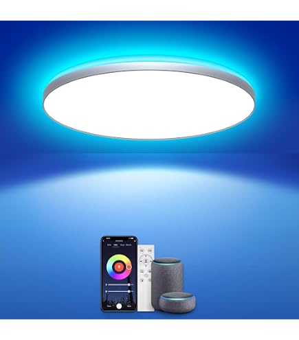 Paul Neuhaus Q-AMY LED Deckenleuchte Smart & Alexa-fähig - Dimmbar Mit Farbwechsel