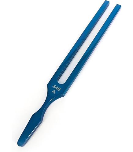 Accordeur à Souffle Pour Guitare 6 Cordes - Diapason Elagon Avec Boîte De Protection - Simple Et Rapide à Utiliser