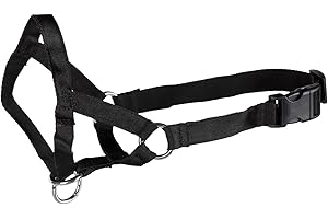 GNCPETS Bozal Collar educador para Perro - Bozal de Entrenamiento para Perro - Bozal Entrenamiento – Talla XL - Bozal Collar Educador Anti-Tirones para Perros