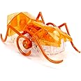 HEXBUG Micro Ant, Electronic Autonomous Robotic Pet, Ages 8 and Up (Random Color)