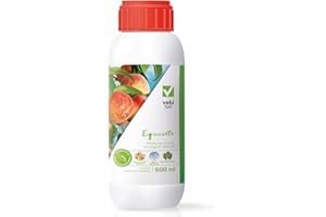 V VEBI Equiseto Vebi in difesa da peronospora oidio bolla del pesco alternaria septoria