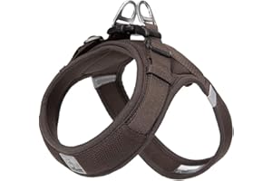WINHYEPET Truelove Dog Harness Soft Mesh Reflective Breathable Step-In Dog Harness,Easy Adjustment Harness with Safety Buckle for Extra Small and Small Dogs, Vest Harness TLH3013(Brown,M)