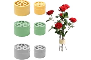 Bofanze 6 PCS Spiral Ikebana Stem Holder Soporte de Tallos de Flores en Espiral Anillo de Soporte de Tallo en Espiral Soporte Reutilizable para Arreglos Florales para Fijar Ramos 7×4.5cm,4.9×3.9cm
