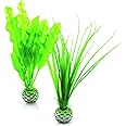 biOrb Plant Set S green