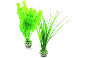 biOrb Zestaw roślin S, zielony